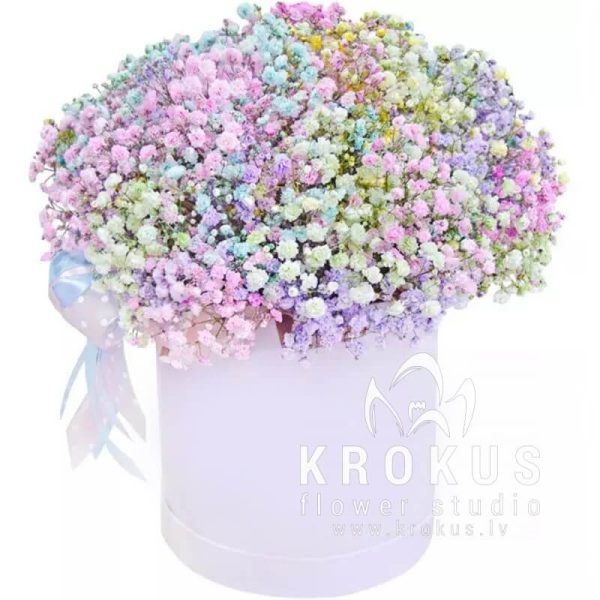 Box of Gypsophila