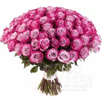 Roses ''Deep Purple" 60cm