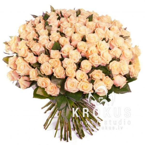 Creamy roses