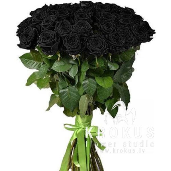 Melnas rozes