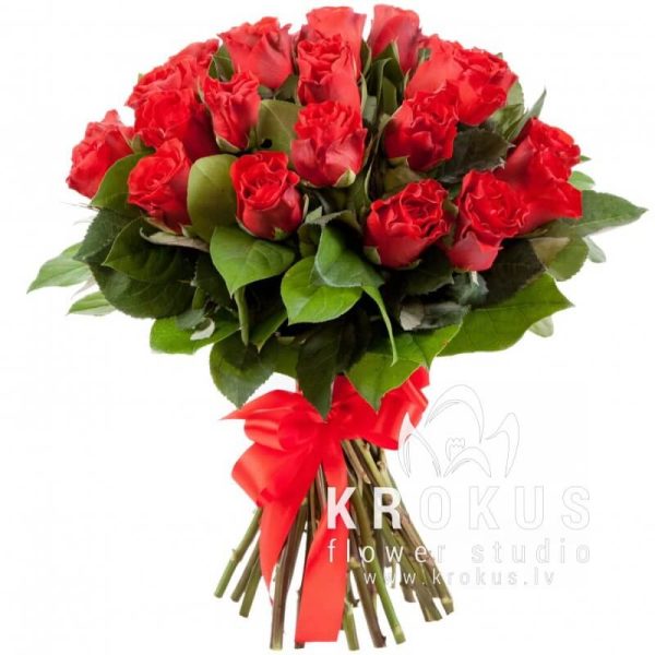 Sārtās rozes 50cm