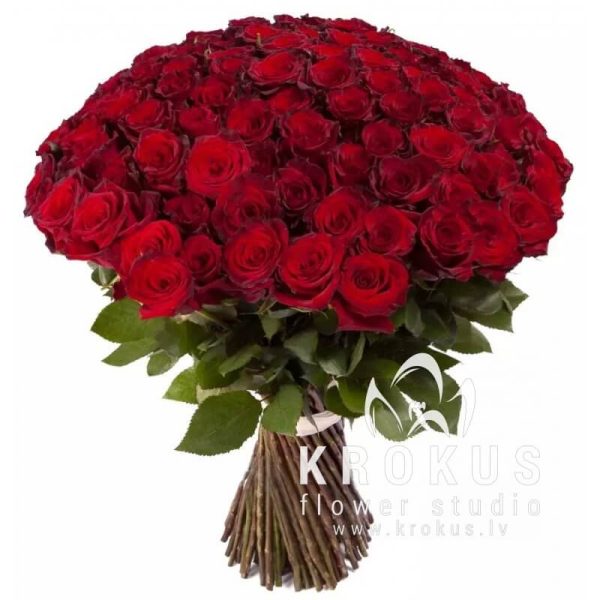 Sarkanas rozes 50cm