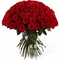 Sarkanas Rozes 80cm XXL