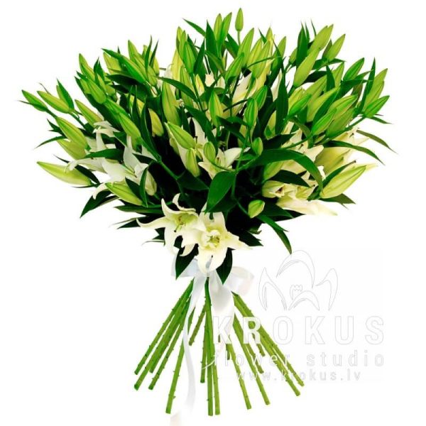 Lilijas