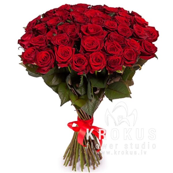 Sarkanas rozes  40cm XXL