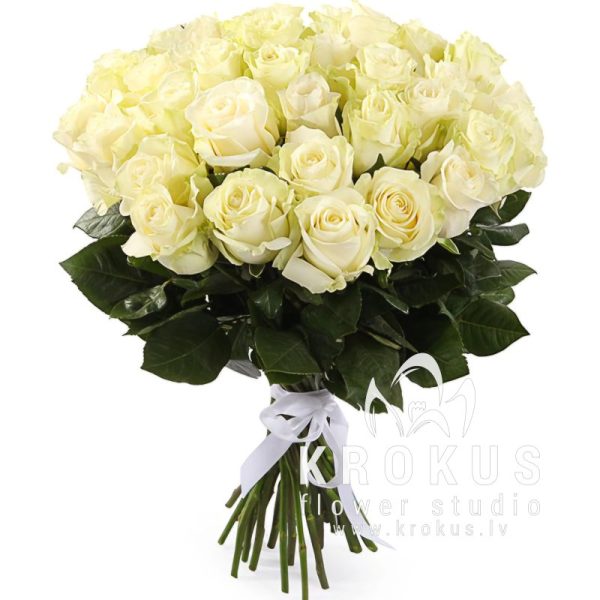 Baltas rozes 40см XXL