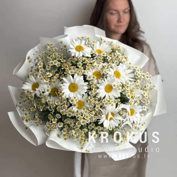 Margrietiņu pušķis Duo