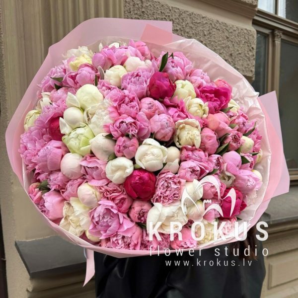 MIX PEONIES