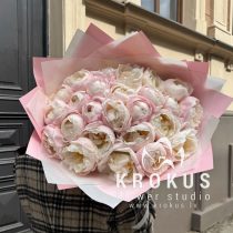 Кремовые пионы