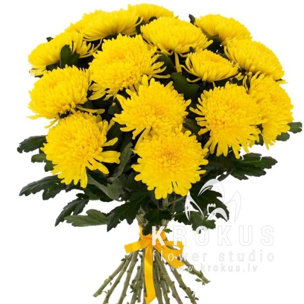 Bouquet of yellow chrysanthemums