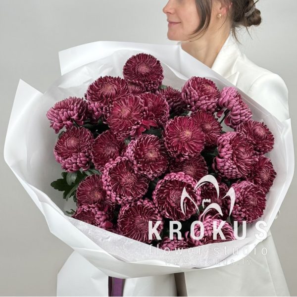 Krizantēmas Bigoudi