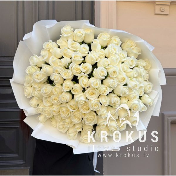 White roses 80cm XXL
