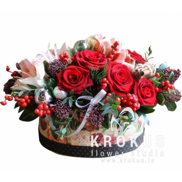 Christmas composition with Amaryllis
