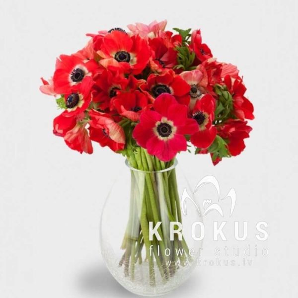 Anemones
